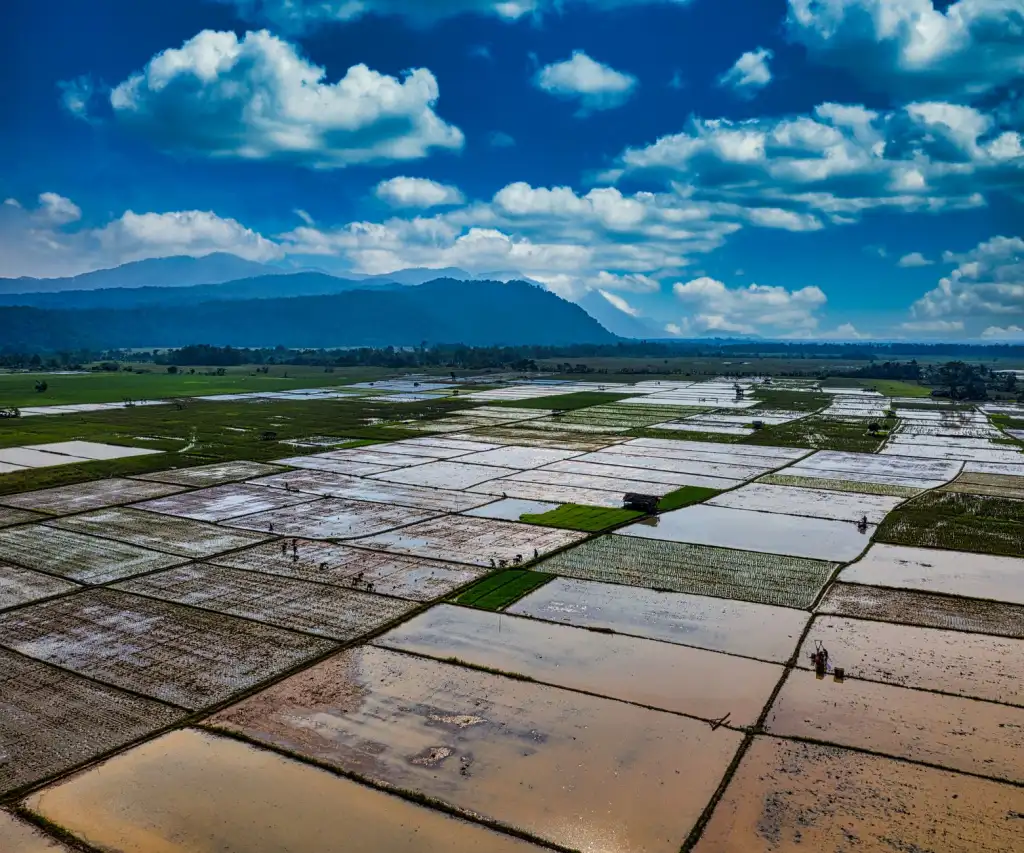 数码产品与通讯设备：西南地区企业办公场景的配置方案对比