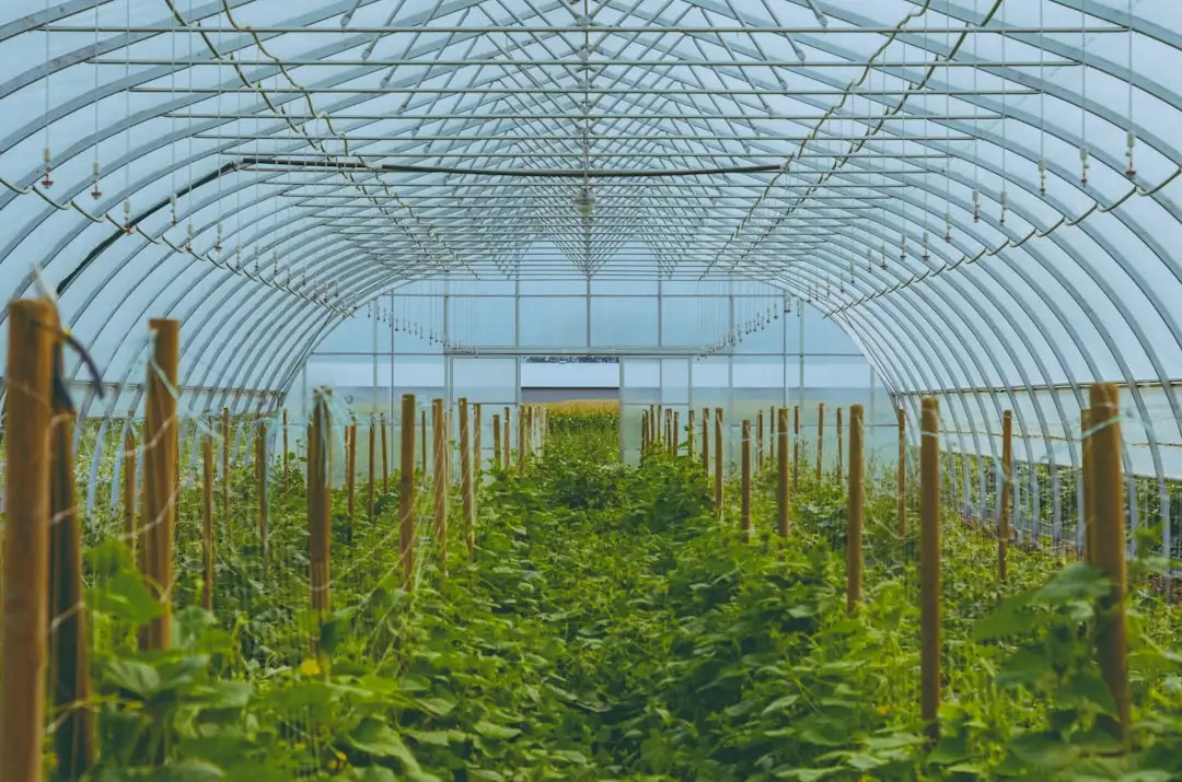 电子产品与数码产品贸易如何赋能西南企业智能化办公升级