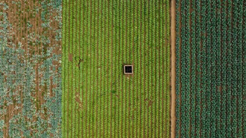 2025年西南地区智能硬件采购趋势与企业选型建议