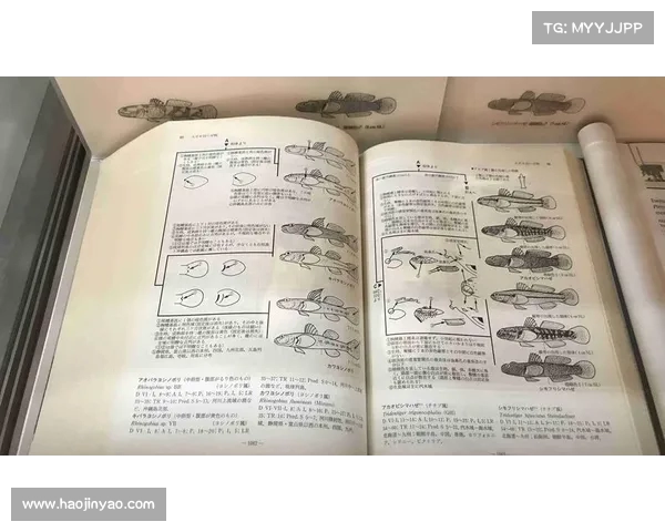 网球比赛赛后反思与总结 网球比赛赛后反思与总结